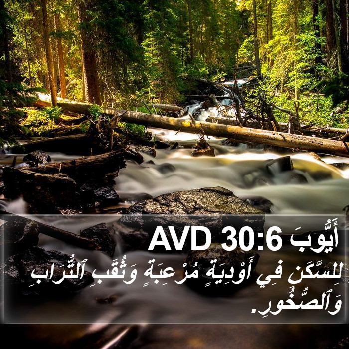 أَيُّوبَ 30:6 AVD Bible Study