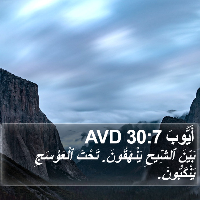 أَيُّوبَ 30:7 AVD Bible Study