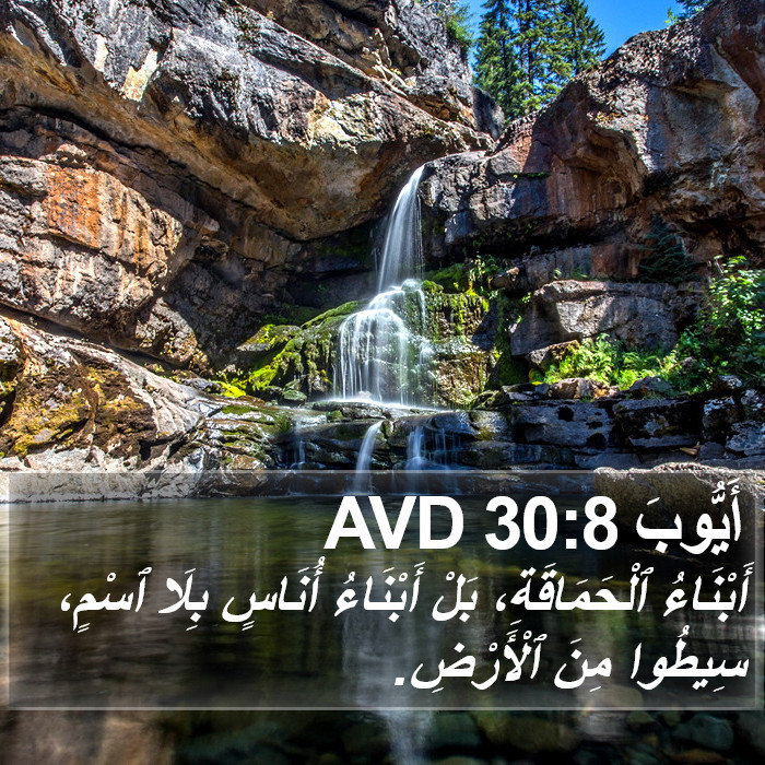 أَيُّوبَ 30:8 AVD Bible Study