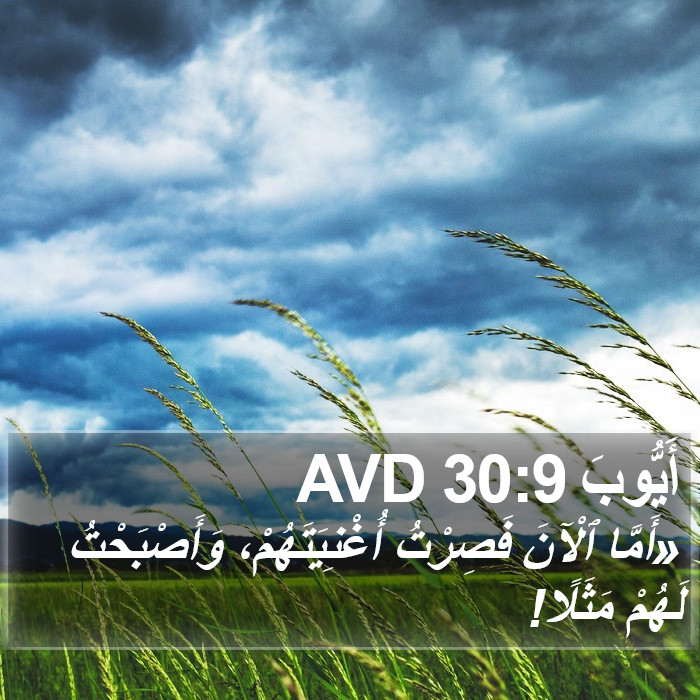 أَيُّوبَ 30:9 AVD Bible Study