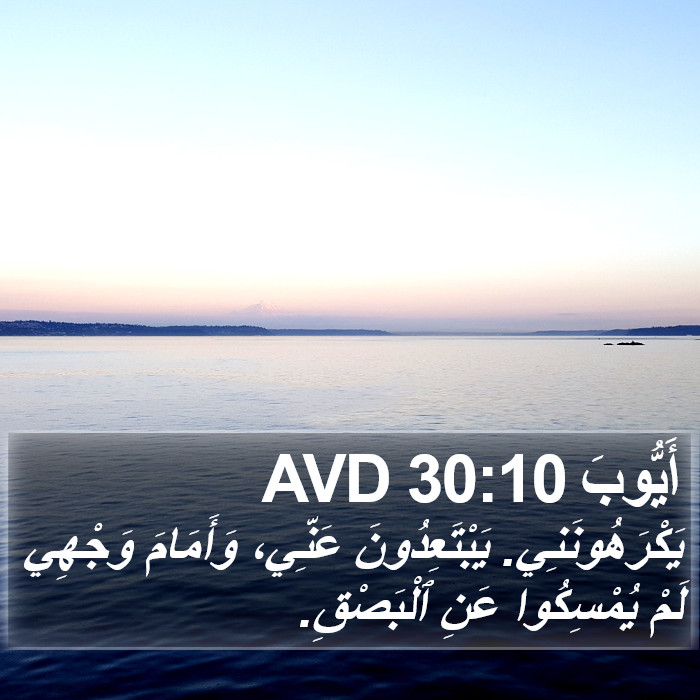 أَيُّوبَ 30:10 AVD Bible Study