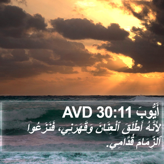 أَيُّوبَ 30:11 AVD Bible Study