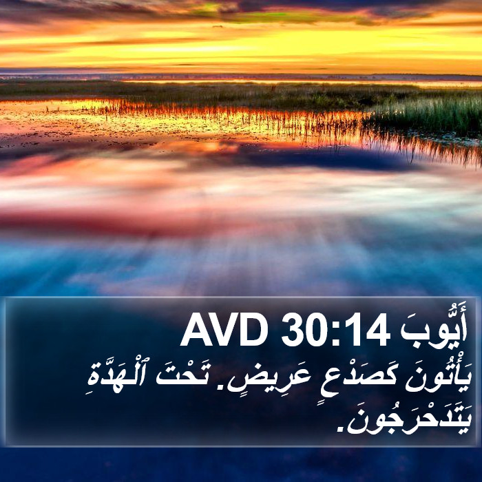 أَيُّوبَ 30:14 AVD Bible Study