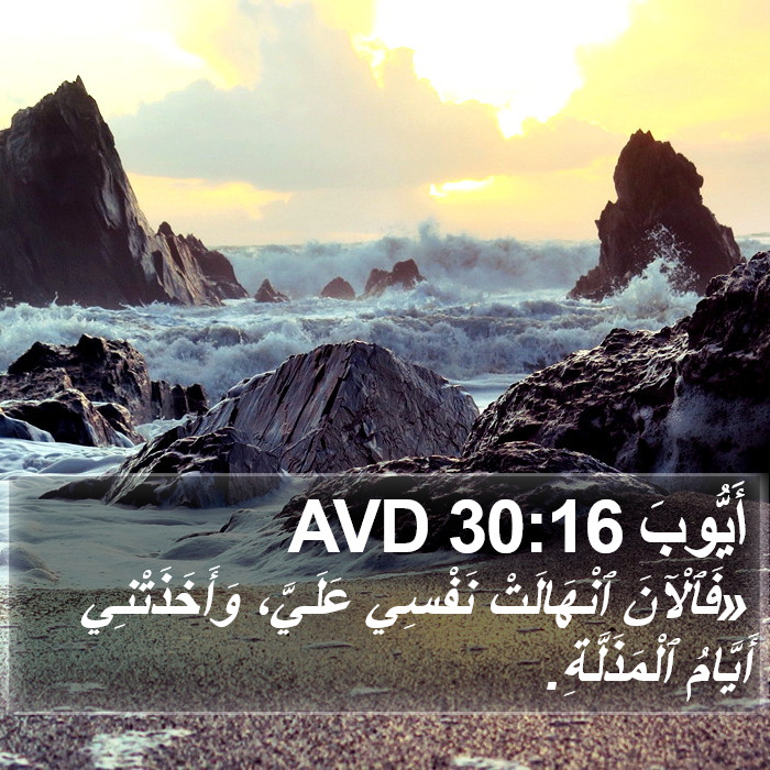 أَيُّوبَ 30:16 AVD Bible Study