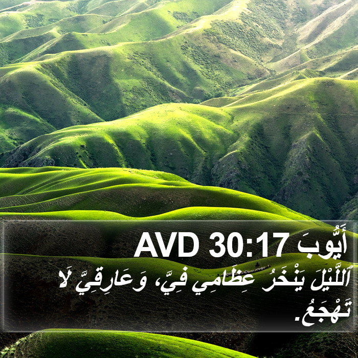 أَيُّوبَ 30:17 AVD Bible Study