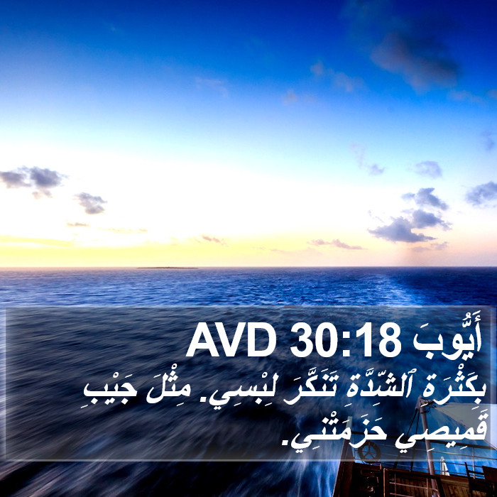 أَيُّوبَ 30:18 AVD Bible Study