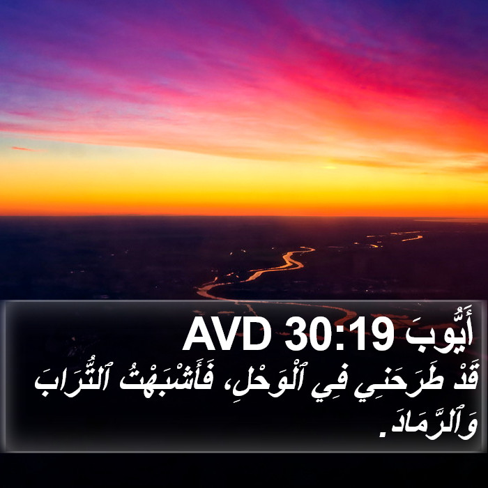 أَيُّوبَ 30:19 AVD Bible Study