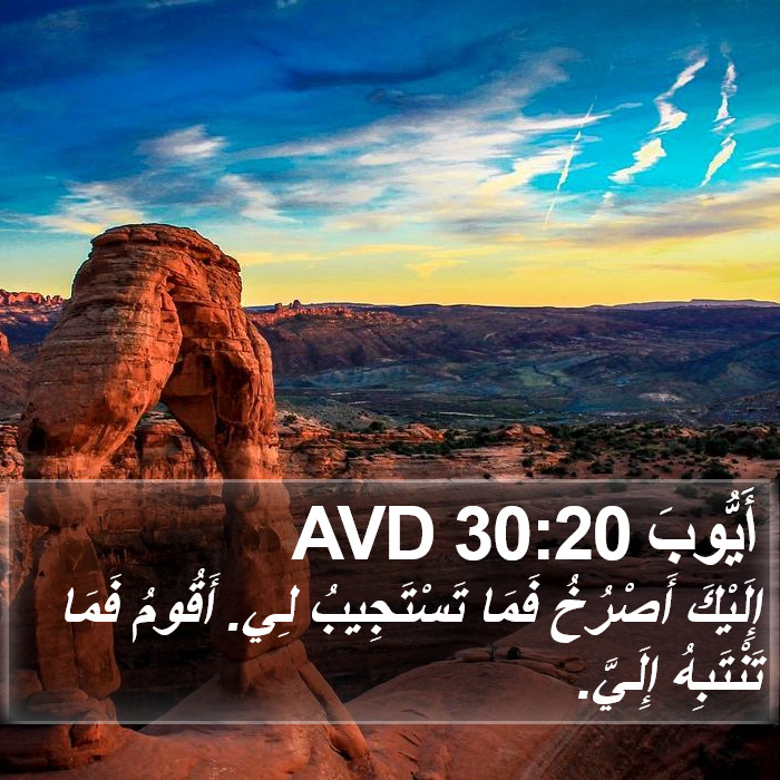 أَيُّوبَ 30:20 AVD Bible Study