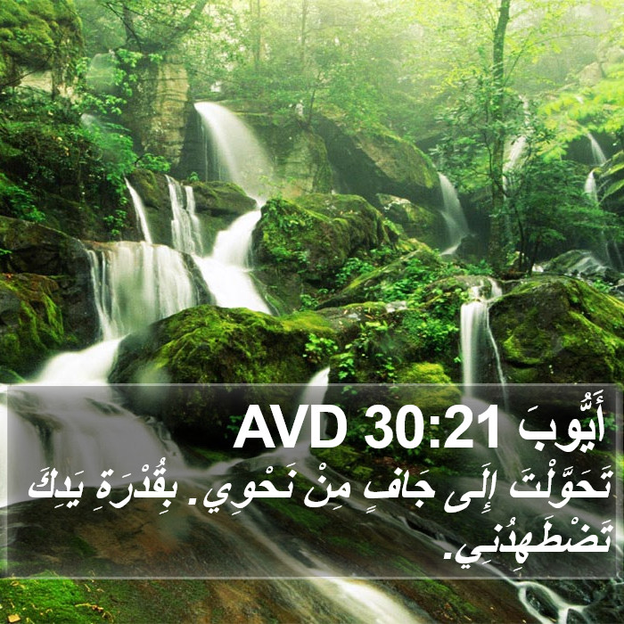 أَيُّوبَ 30:21 AVD Bible Study