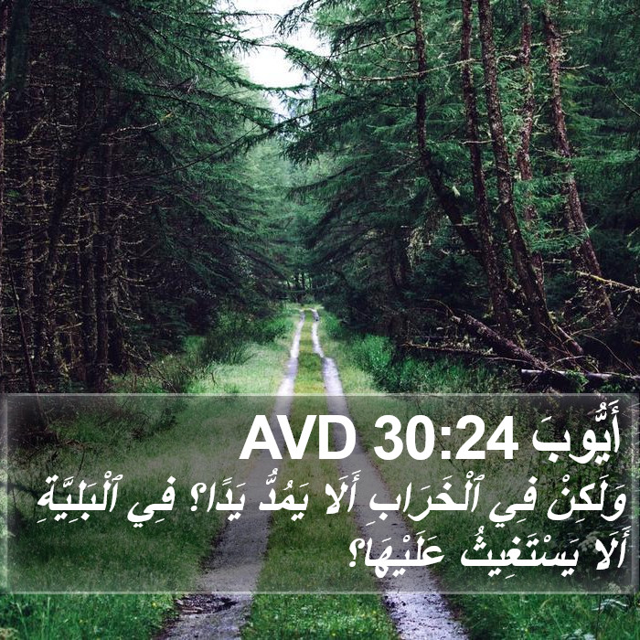 أَيُّوبَ 30:24 AVD Bible Study