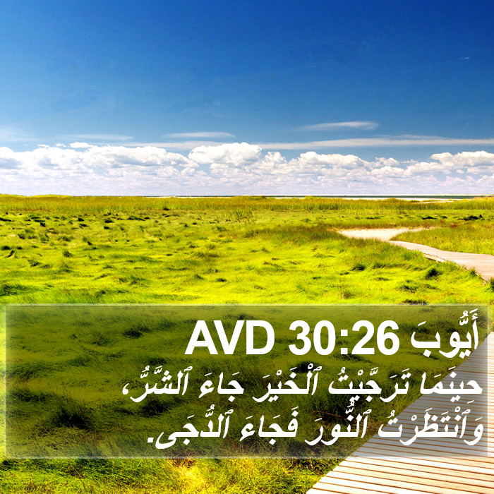 أَيُّوبَ 30:26 AVD Bible Study