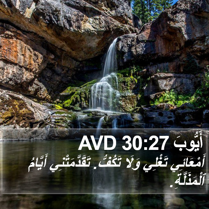 أَيُّوبَ 30:27 AVD Bible Study