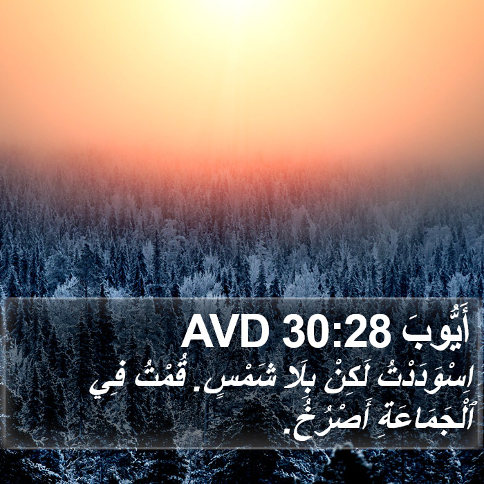 أَيُّوبَ 30:28 AVD Bible Study