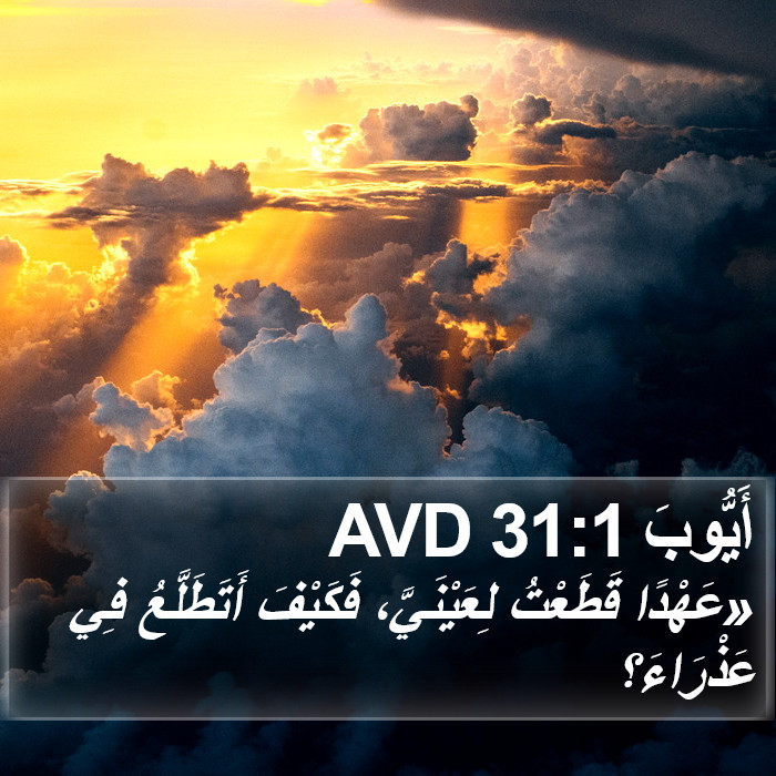 أَيُّوبَ 31:1 AVD Bible Study