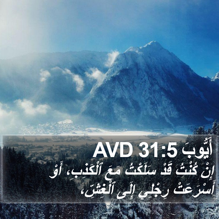 أَيُّوبَ 31:5 AVD Bible Study