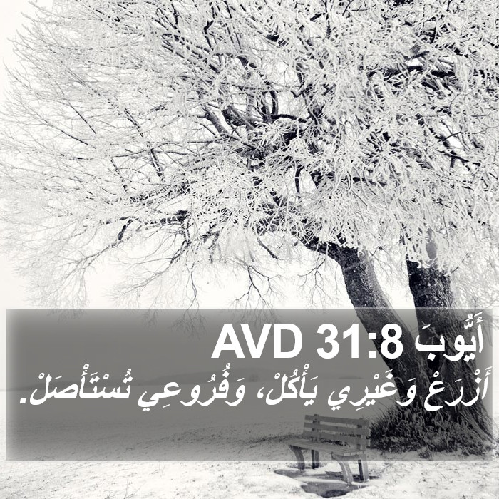 أَيُّوبَ 31:8 AVD Bible Study