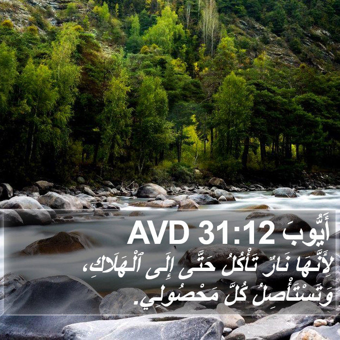 أَيُّوبَ 31:12 AVD Bible Study