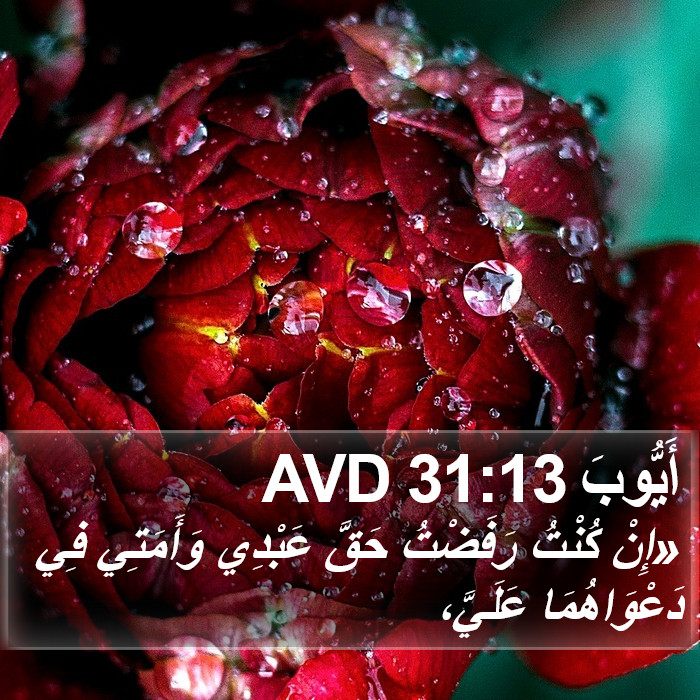 أَيُّوبَ 31:13 AVD Bible Study