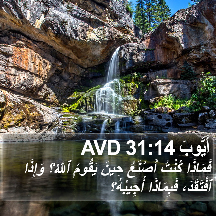 أَيُّوبَ 31:14 AVD Bible Study