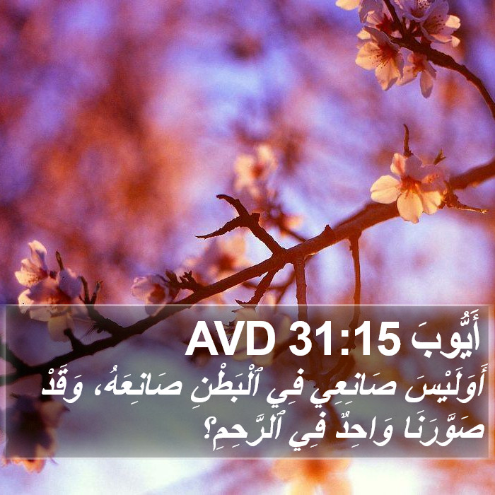 أَيُّوبَ 31:15 AVD Bible Study