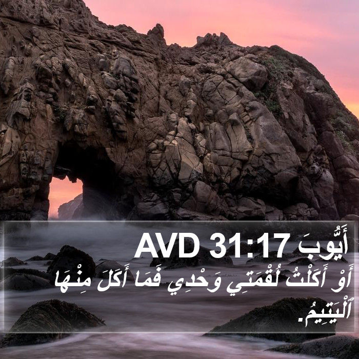 أَيُّوبَ 31:17 AVD Bible Study