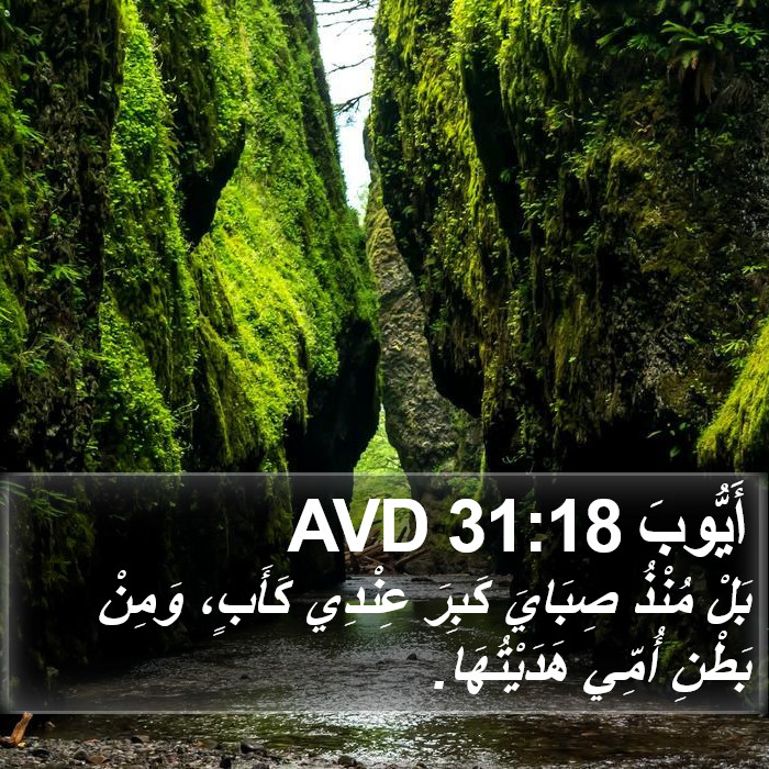 أَيُّوبَ 31:18 AVD Bible Study