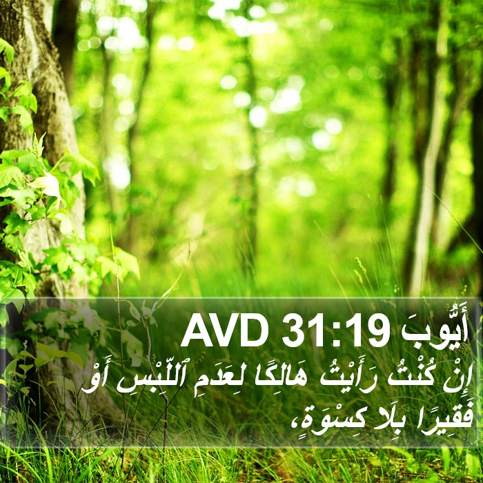 أَيُّوبَ 31:19 AVD Bible Study