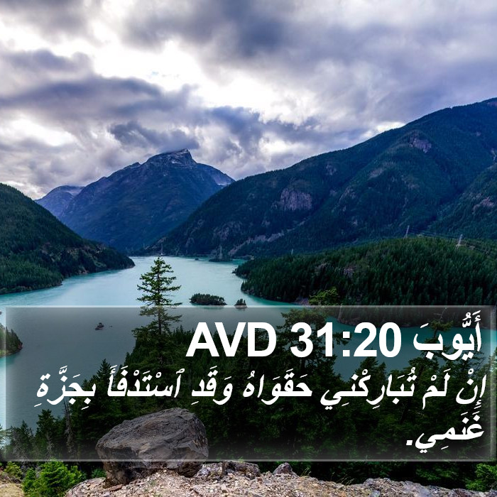 أَيُّوبَ 31:20 AVD Bible Study