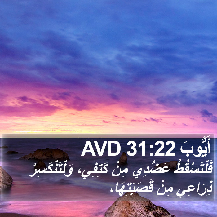 أَيُّوبَ 31:22 AVD Bible Study