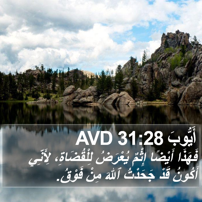 أَيُّوبَ 31:28 AVD Bible Study