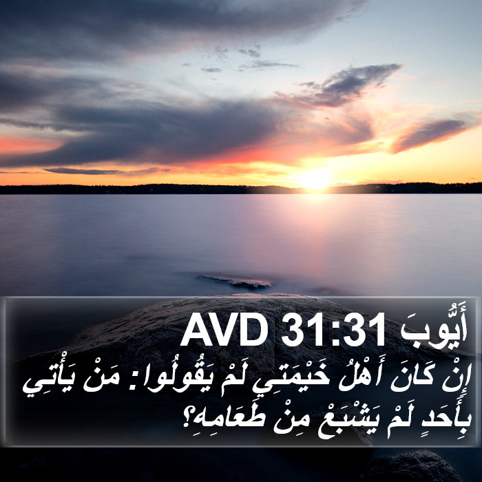 أَيُّوبَ 31:31 AVD Bible Study
