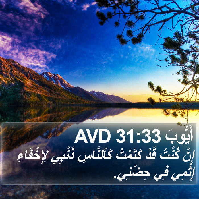 أَيُّوبَ 31:33 AVD Bible Study