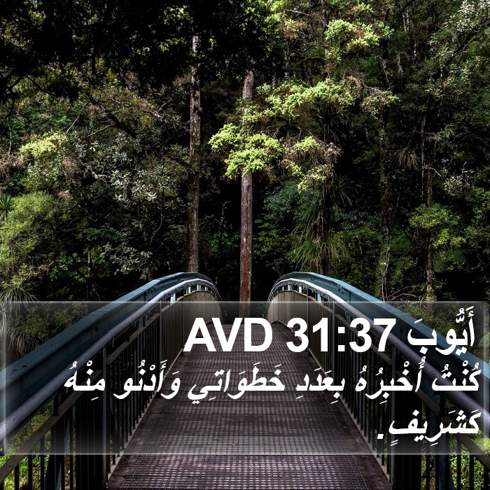 أَيُّوبَ 31:37 AVD Bible Study