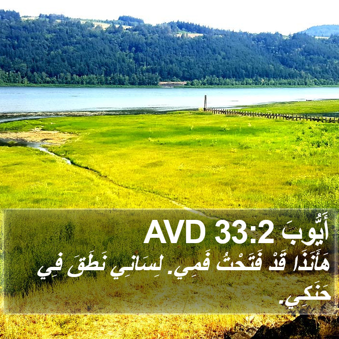 أَيُّوبَ 33:2 AVD Bible Study