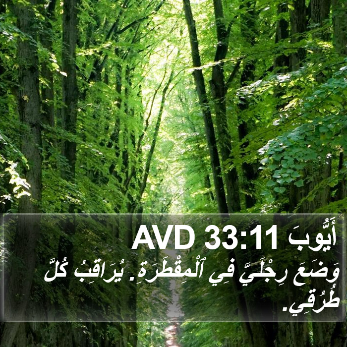 أَيُّوبَ 33:11 AVD Bible Study
