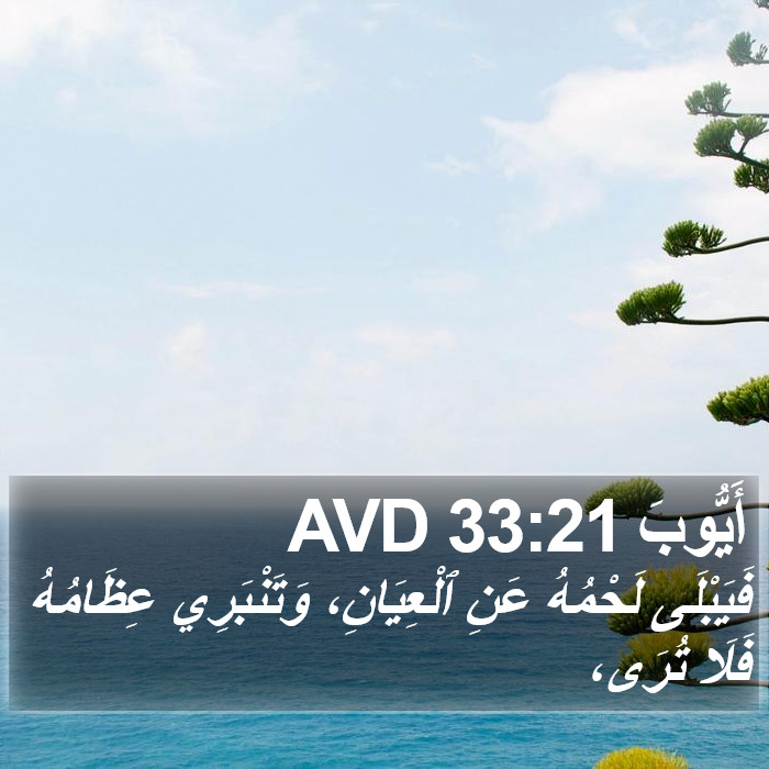 أَيُّوبَ 33:21 AVD Bible Study
