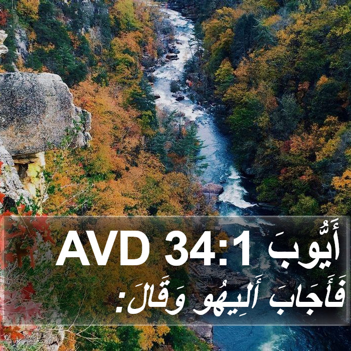 أَيُّوبَ 34:1 AVD Bible Study