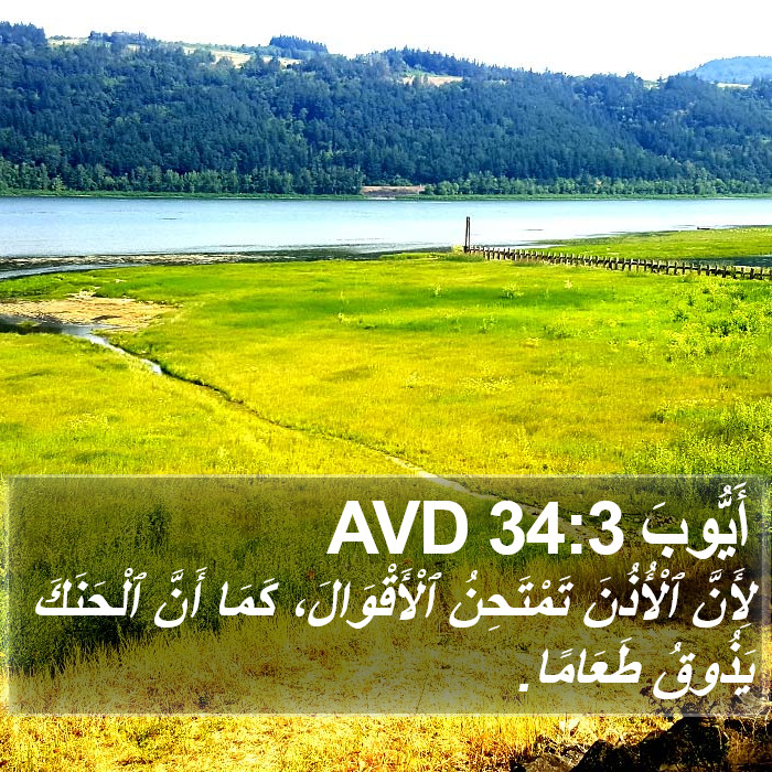 أَيُّوبَ 34:3 AVD Bible Study