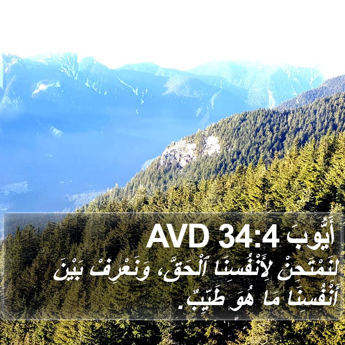 أَيُّوبَ 34:4 AVD Bible Study