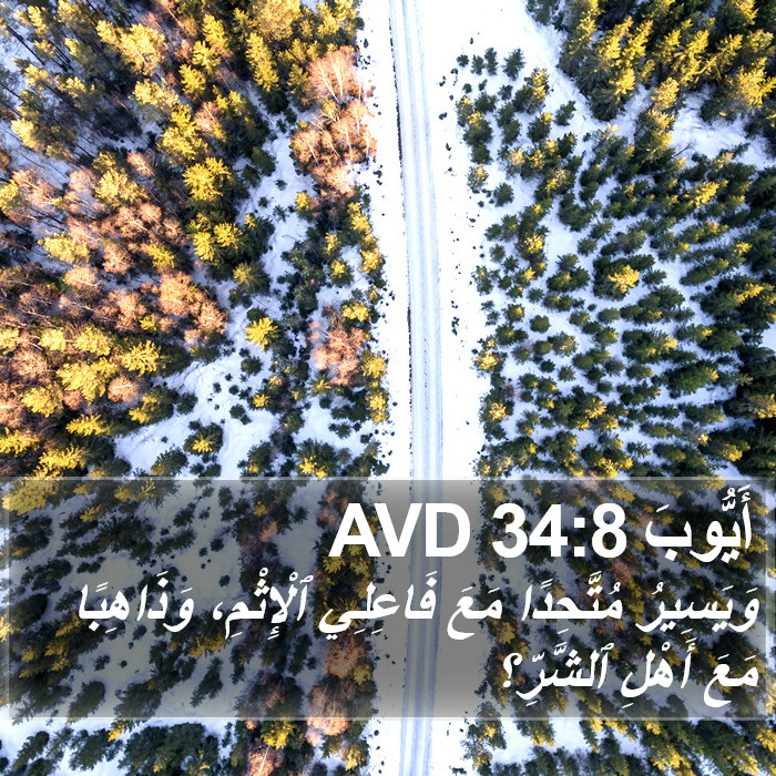 أَيُّوبَ 34:8 AVD Bible Study