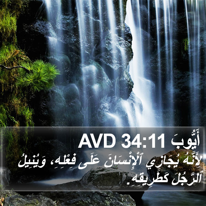 أَيُّوبَ 34:11 AVD Bible Study