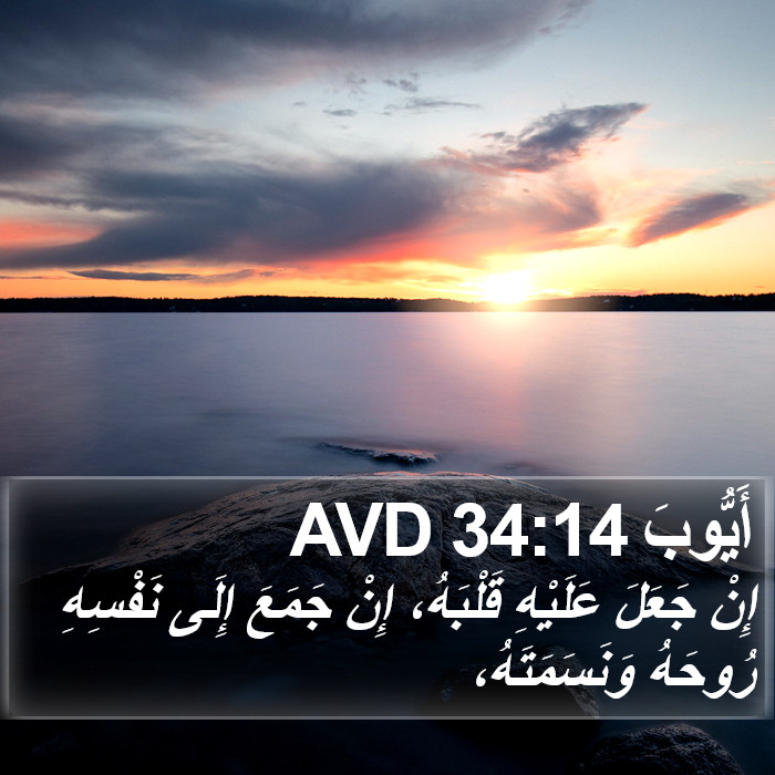 أَيُّوبَ 34:14 AVD Bible Study