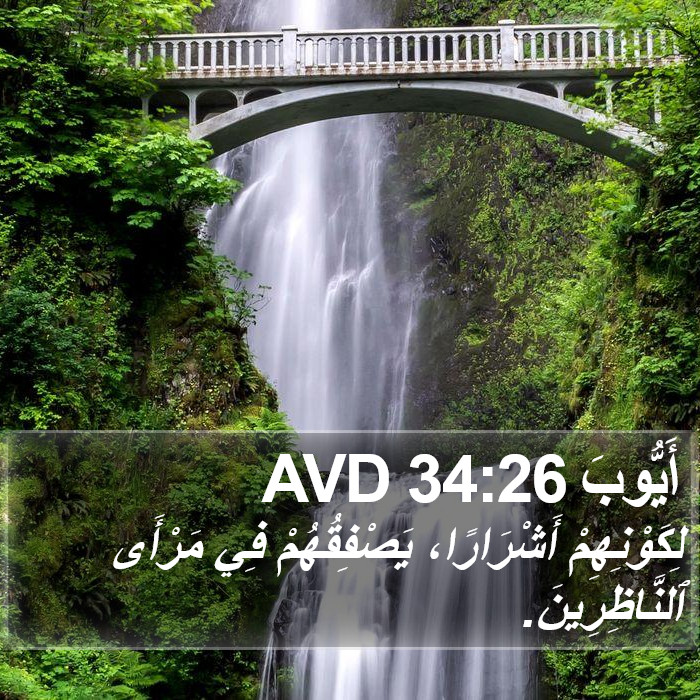 أَيُّوبَ 34:26 AVD Bible Study