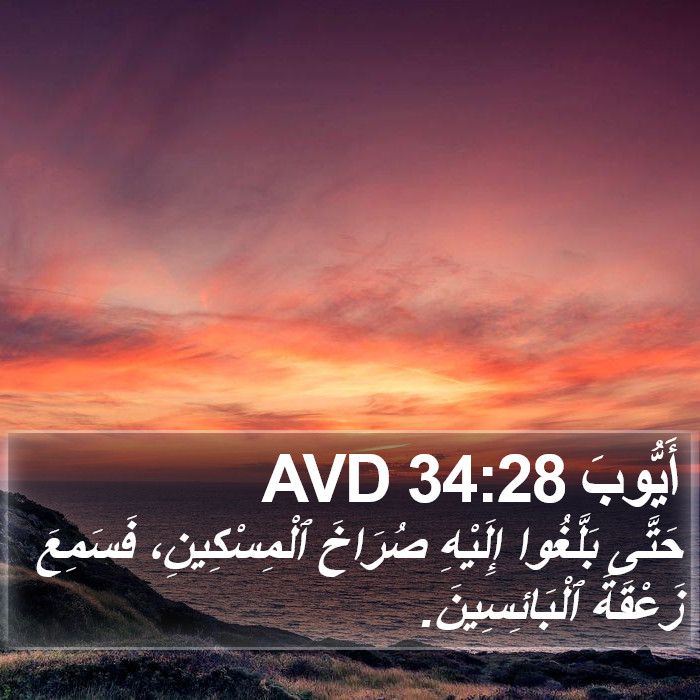 أَيُّوبَ 34:28 AVD Bible Study