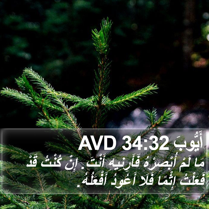 أَيُّوبَ 34:32 AVD Bible Study