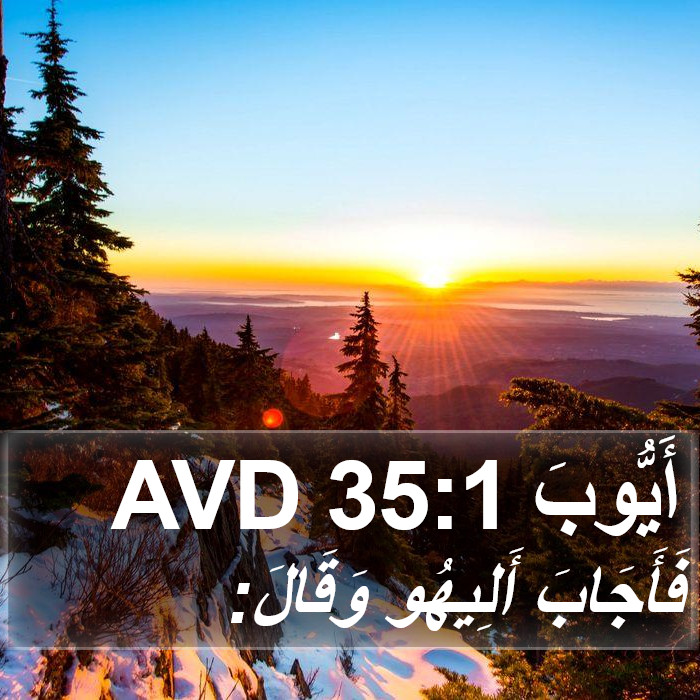 أَيُّوبَ 35:1 AVD Bible Study