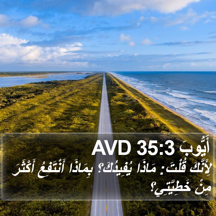 أَيُّوبَ 35:3 AVD Bible Study