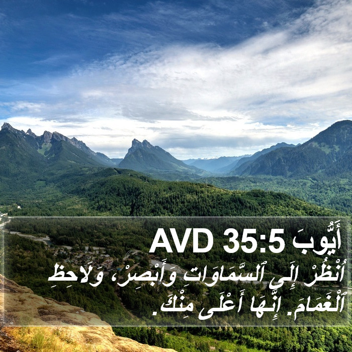 أَيُّوبَ 35:5 AVD Bible Study