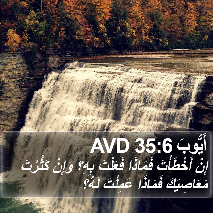 أَيُّوبَ 35:6 AVD Bible Study