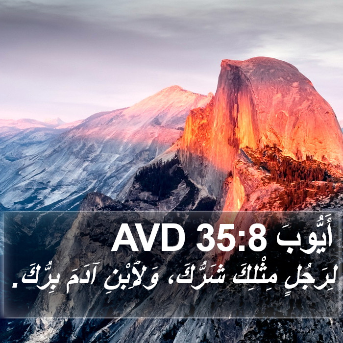 أَيُّوبَ 35:8 AVD Bible Study
